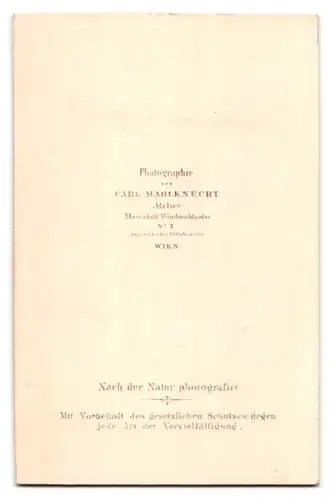 Fotografie Carl Mahlknecht, Wien, Alois Ander, österreichischer Opernsänger