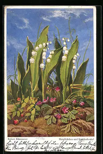 Künstler-AK Robert Kämmerer: Maiglöckchen und Storchschnabel