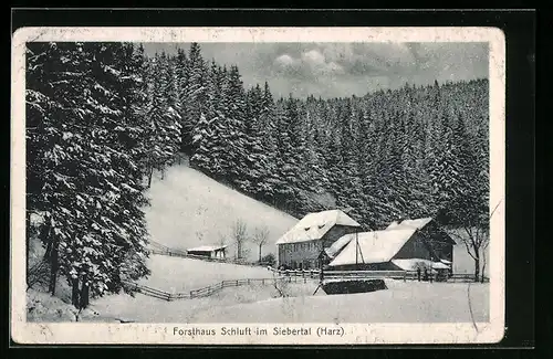 AK St. Andreasberg / Harz, Forsthaus Schluft im Schnee