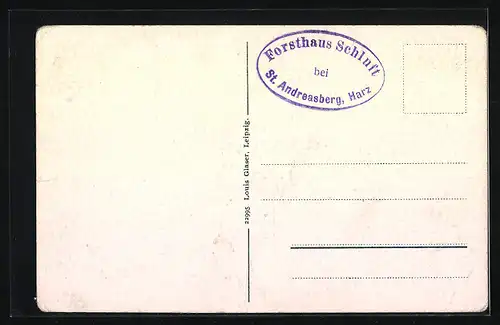 AK St. Andreasberg / Harz, Forsthaus Schluft im Schnee