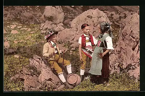 AK Schweizer Kinder in Appenzellertracht im Bergland