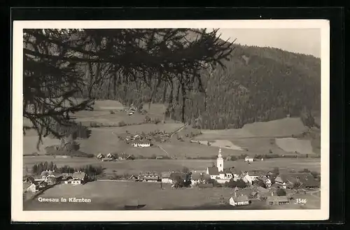 AK Gnesau in Kärnten, Ortspartie aus der Vogelschau