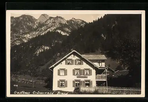 AK Brand, Gasthaus Grünerwald aus der Vogelschau