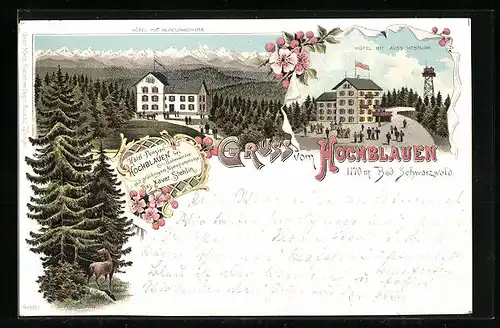Lithographie Hochblauen Bad. Schwarzwald, Hotel mit Alpenpanorama und Aussichtsturm