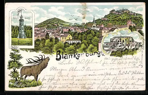 Lithographie Blankenburg a. H., Kaiser Warte, Regenstein