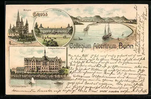 Lithographie Bonn, Universität, Münster, Collegium Albertinum