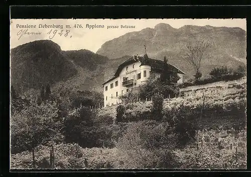 AK Appiano presso Bolzano, Pension Liebenburg mit Umgebung