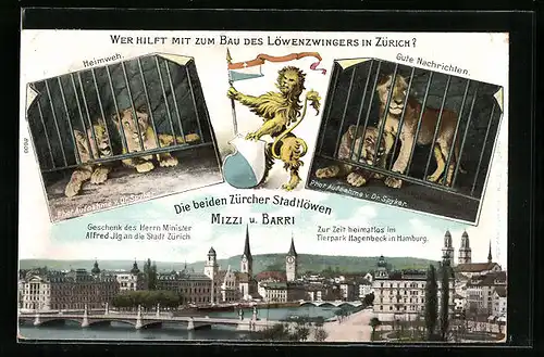 Künstler-AK Zürich, Löwen Mizzi und Barri, Spendenaufruf für einen Löwenzwinger