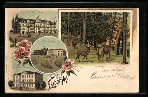 Lithographie Langenthal, Hotel Bären, Bezirksspital, Hirschpark