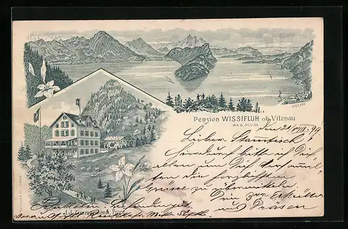 Lithographie Vitznau, Pension Wisssifluh, Ortsansicht mit See und Bergen