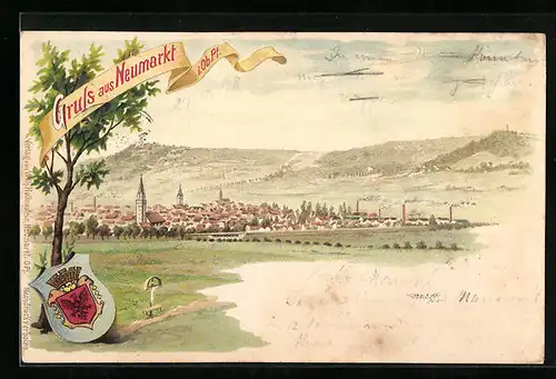 Lithographie Neumarkt / Oberpfalz, Gesamtansicht mit Umgebung, Wappen