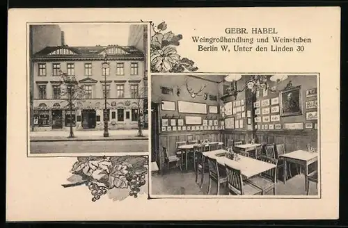 AK Berlin, Gebr. Habel Weingrosshandlung und Weinstuben, Unter den Linden 30