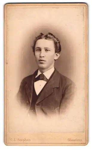 Fotografie C. L. Stephan, Glauchau, Hoffnung 47, Portrait junger Mann im Anzug in die Kamera blickend