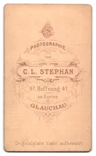 Fotografie C. L. Stephan, Glauchau, Hoffnung 47, Portrait junger Mann im Anzug in die Kamera blickend