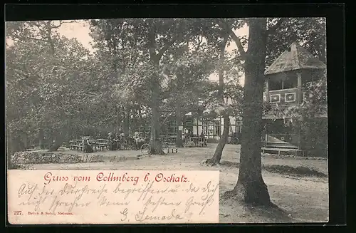 AK Oschatz, Gasthaus Collmberg mit Garten
