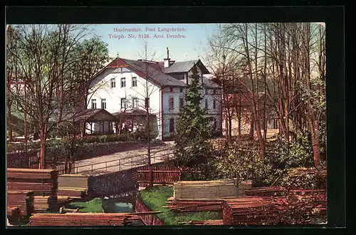 AK Langebrück bei Dresden, Gasthaus Haidemühle mit Strasse und Holzlager