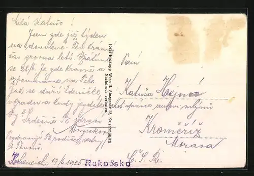 AK Hoheneich, Ortsansicht mit Hauptstrasse aus der Vogelschau