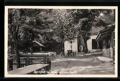 AK Krummnussbaum, Gasthaus Steinbründl, Gartenansicht