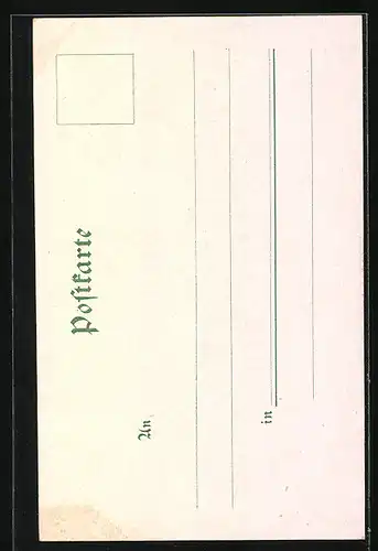 Lithographie Rüdesheim, Ortsansicht mit Rheindampfern