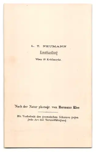 2 Fotografien Dr. Heid & Ronniger, Wien, österreichisches Schauspieler Ehepaar Karl und Elisabeth Elise Fichtner