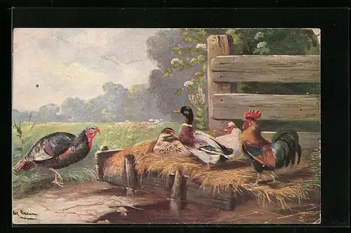 Künstler-AK Alfred Schönian: Hahn mit Hühnern, Ente und Truthahn