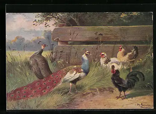 Künstler-AK Alfred Schönian: Pfauenpaar, Hahn und Hühner