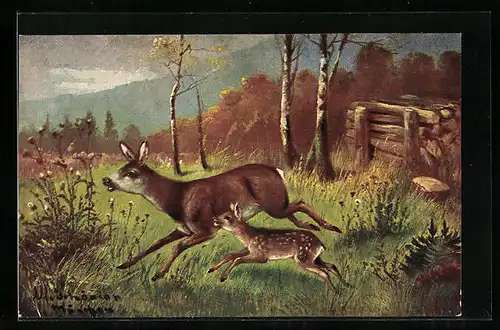 Künstler-AK Alfred Schönian: Reh mit Kitz