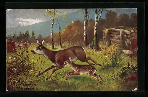 Künstler-AK Alfred Schönian: Reh mit Kitz