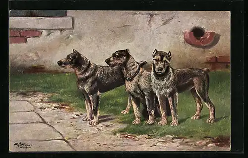 Künstler-AK Alfred Schönian: Drei Hunde im Hof