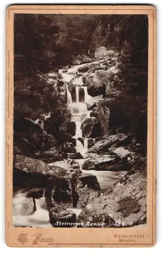 Fotografie Fr. Rose, Wernigerode, Ansicht Hasserode, Blick auf die Steinerne Renne, Bachlauf