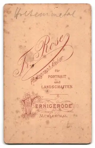 Fotografie Fr. Rose, Wernigerode, Ansicht Hasserode, Blick auf die Steinerne Renne, Bachlauf