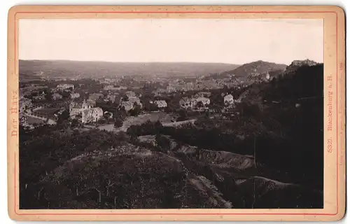 Fotografie Römmler & Jonas, Dresden, Ansicht Blankenburg a. H., Blick auf die Stadt