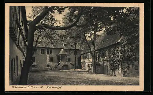 AK Michelstadt i. Odenwald, Kellerei-Hof
