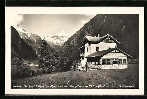 AK Mallnitz, Gasthof & Pension Alpenrose am Stappitzersee