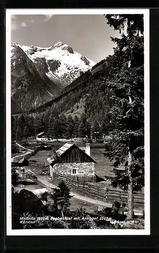 AK Mallnitz, Seebachtal mit Ankogel