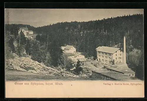 AK Spiegelau i. bayer. Wald, Blick über den Ort