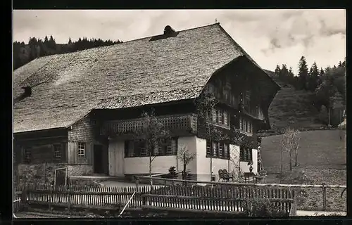 AK Menzenschwand a. Feldberg, Pension Emil Maler