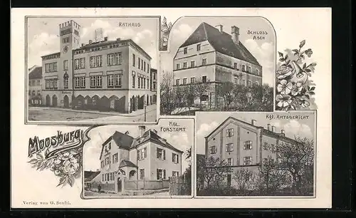 AK Moosburg, Schloss Asch, Königliches Forstamt, Rathaus