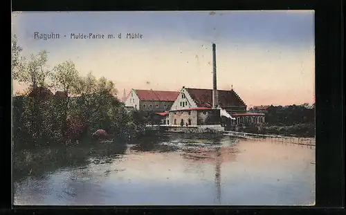 AK Raguhn, Mulde-Partie mit der Mühle