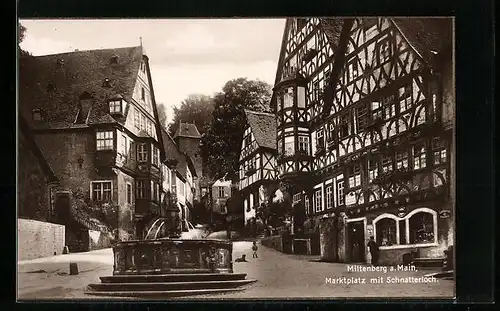 AK Miltenberg a. M., Marktplatz mit Schnatterloch