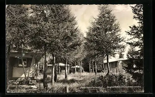 AK Grafenhausen /Schwarzwald, Familien-Ferienhof