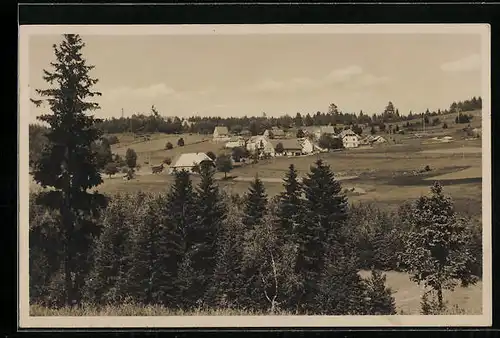 AK Rothaus im Schwarzwald, Ortsansicht mit Brünlisbach