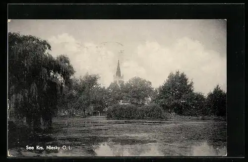 AK Niesky /O. L., Blick auf See
