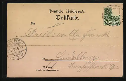 Lithographie Karlsruhe, Ausblick vom Residenzschloss