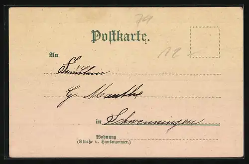 Lithographie Ulm, Metzgerturm, Rathaus, Saalbau