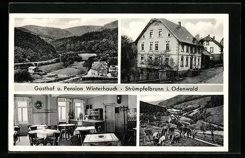 AK Strümpfelbrunn i. Odenwald, Gasthof und Pension Winterhauch