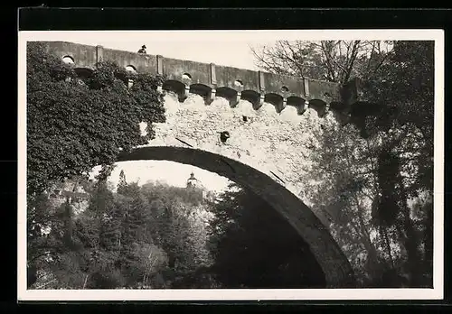 AK Merano, Ponte Romano