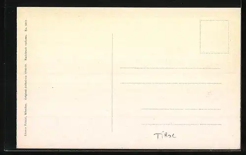 AK Tirol, K. k. Stammschloss Tirol und Zielspitze