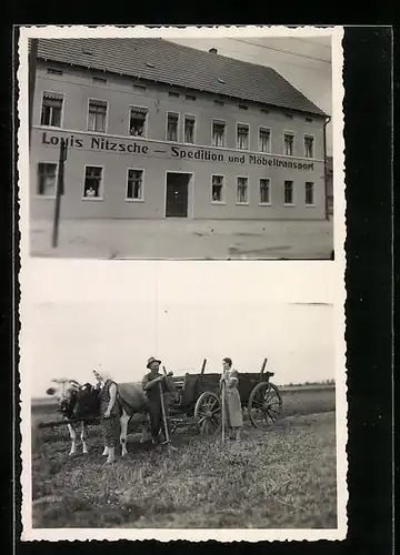 AK Köln-Nippes, Spedition und Möbeltransport Louis Nitzsche, Karren