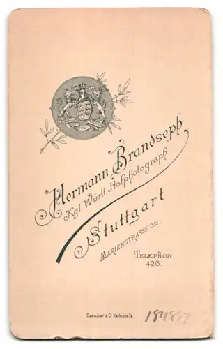 Fotografie H. Brandseph, Stuttgart, Marienstr. 36, Portrait eines elegant gekleideten Paares